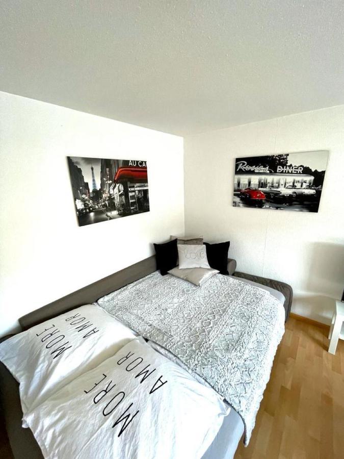 Nice And Comfortable, Centrally Located Apartment 莱茵费尔登 外观 照片